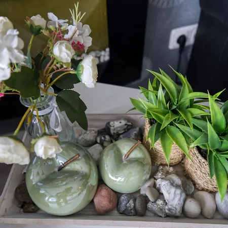 Haus Hanseatic, App 1sc311 아파트 하일리겐하펜