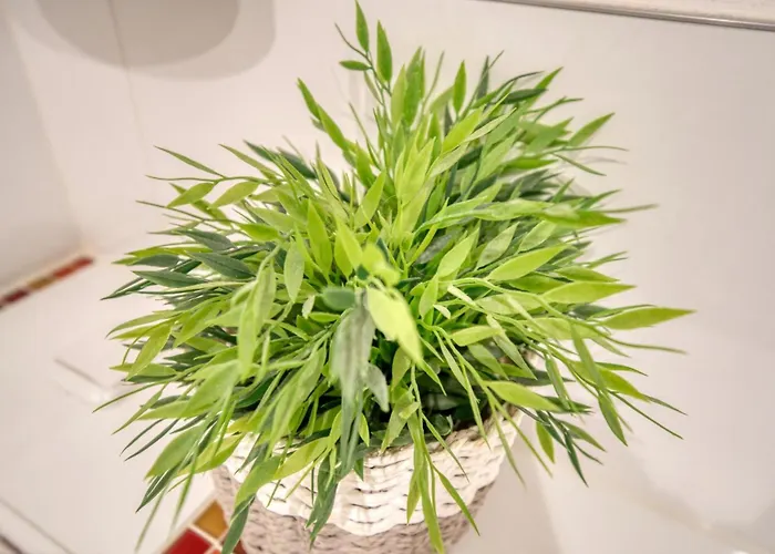 Haus Hanseatic, App 1sc311 하일리겐하펜